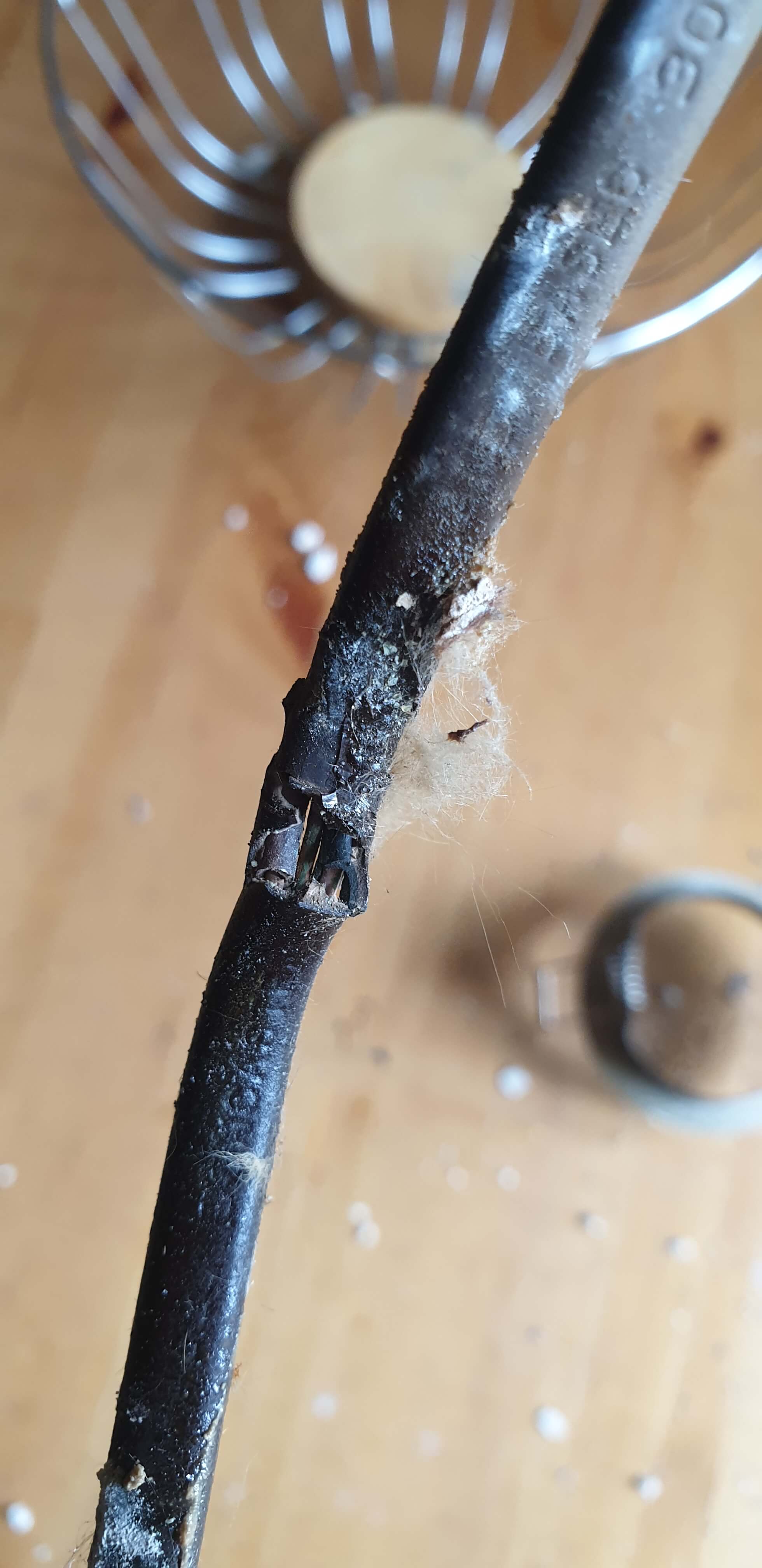 Broken Electrical Wire